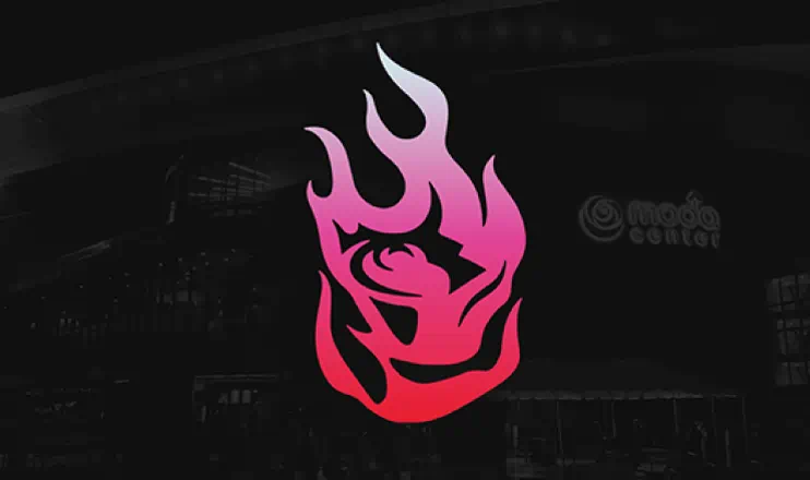 fire logo
