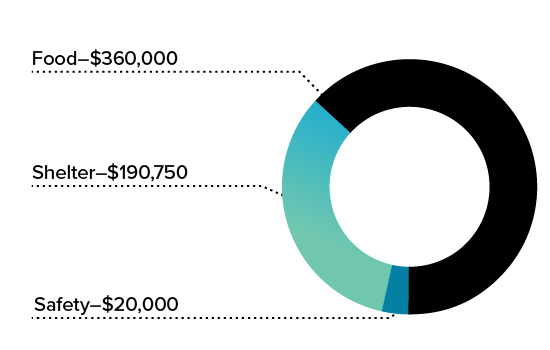 Innovation Pie chart